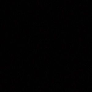 Meet your Posher, Abigail